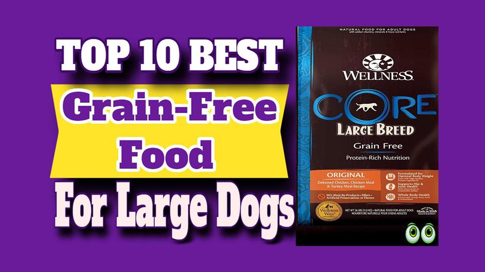 Best Grain-Free Food For Large Dogs