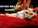 Devon Rex Cat Names