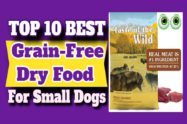 Best Grain-Free Food For Small Dogs