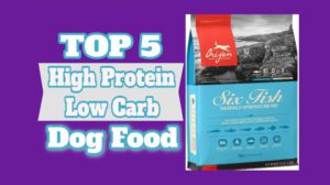 High Protein Low Carb Dog Food