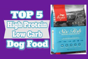 High Protein Low Carb Dog Food