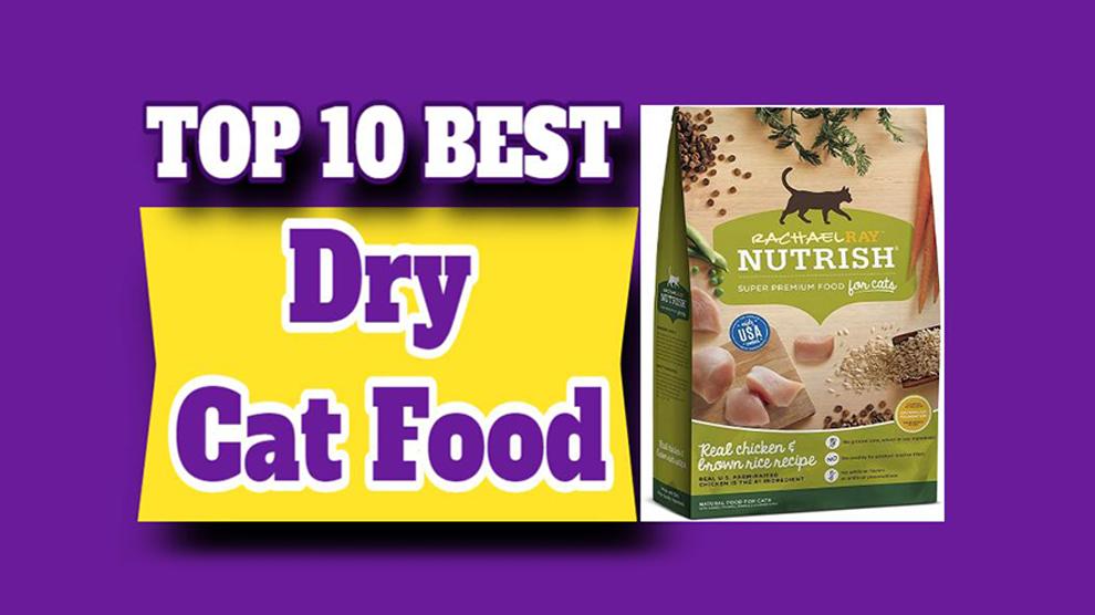 Best Dry Cat Food