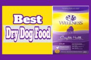 Best Dry Dog Foods
