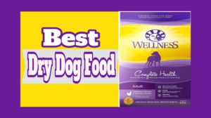Best Dry Dog Foods
