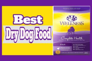 Best Dry Dog Foods