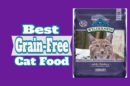 Best Grain-Free Cat Food