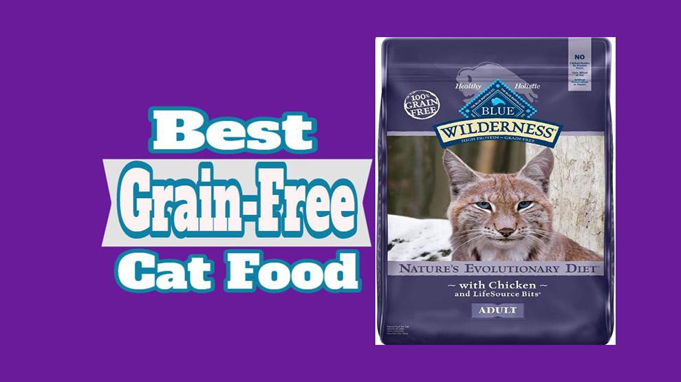 Best Grain-Free Cat Food