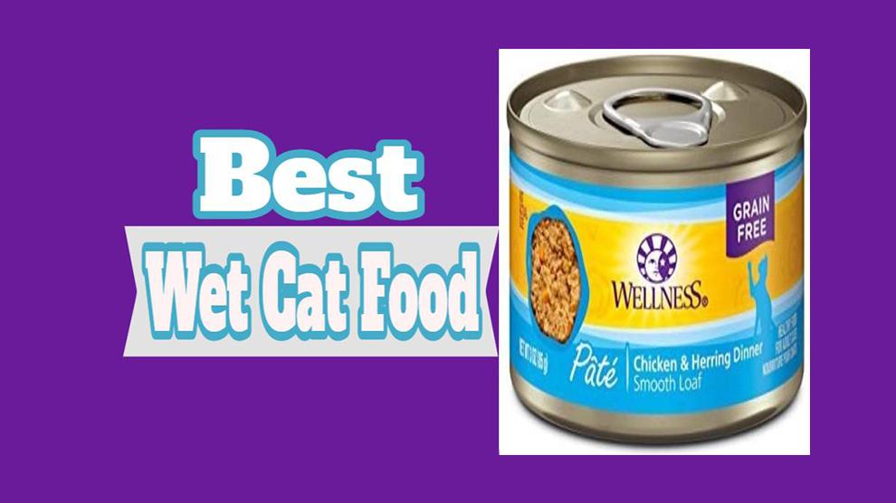 Best Wet Cat Food