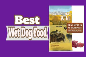 Best Wet Dog Food