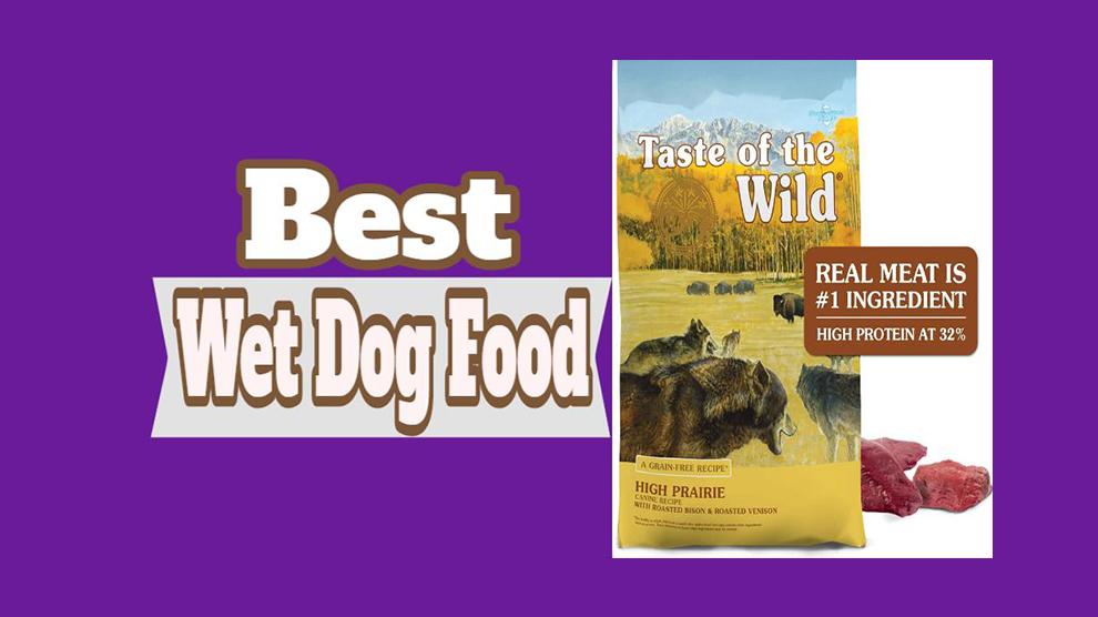 Best Wet Dog Food