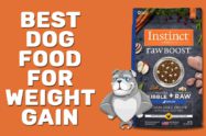 Best Dog Food For Weight Gain