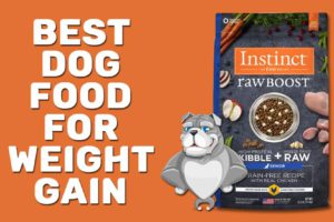 Best Dog Food For Weight Gain