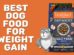 Best Dog Food For Weight Gain