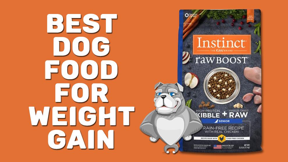 Best Dog Food For Weight Gain