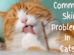 Common-Cat-Skin-Problems