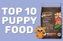 Top 10 Puppy Food