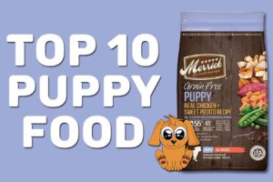 Top 10 Puppy Food