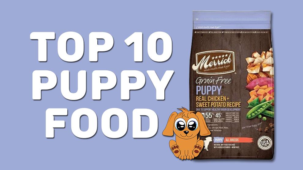 Top 10 Puppy Food