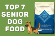 Top 7 Senior Dog Food