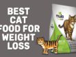 Best Cat Food For Weight Loss