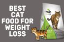 Best Cat Food For Weight Loss