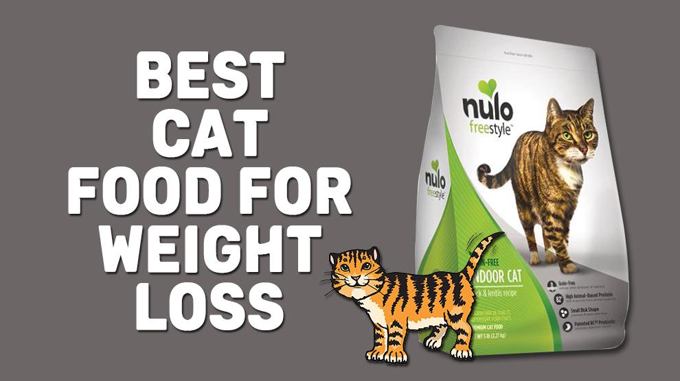 Best Cat Food For Weight Loss