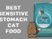 Best Sensitive Stomach Cat Food