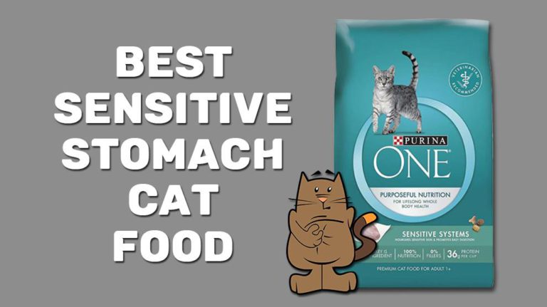 10 Best Sensitive Stomach Cat Food In 2025 - For A Better Digestion ...