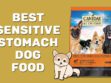 Best Sensitive Stomach Dog Food