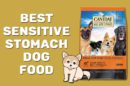 Best Sensitive Stomach Dog Food