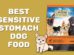 Best Sensitive Stomach Dog Food