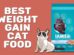 Best Weight Gain Cat Food
