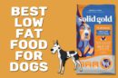 Best Low Fat Food For Dogs