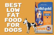 Best Low Fat Food For Dogs