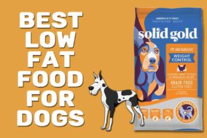 Best Low Fat Food For Dogs