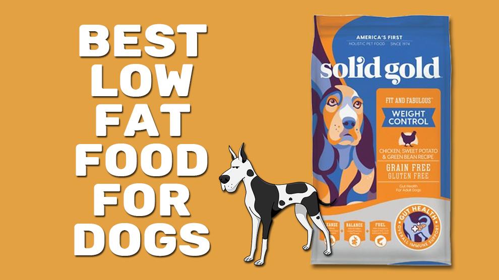 Best Low Fat Food For Dogs