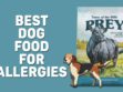 Best Dog Food For Allergies