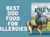 Best Dog Food For Allergies