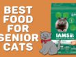 Best Food For Senior Cats