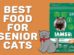Best Food For Senior Cats