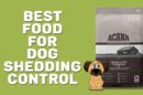 Best Food For Dog Shedding Control