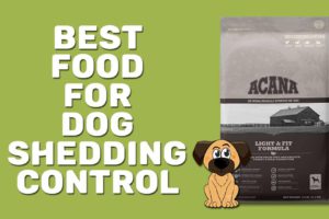 Best Food For Dog Shedding Control