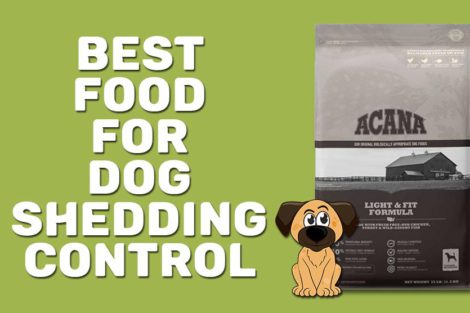 Best Food For Dog Shedding Control