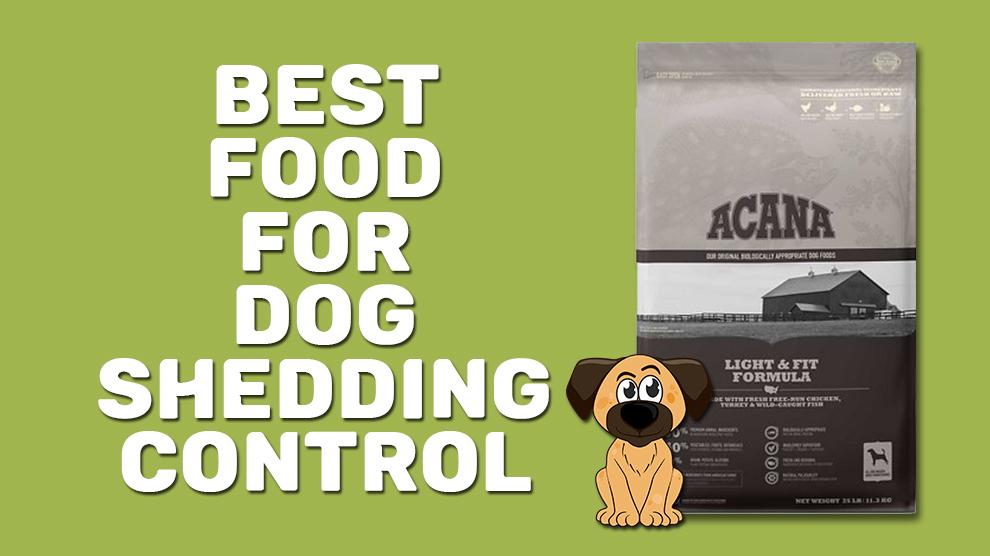 Best Food For Dog Shedding Control