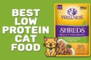 Best Low Protein Cat Food