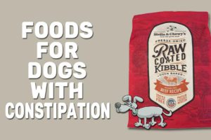Foods For Dogs With Constipation
