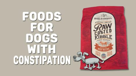 Foods For Dogs With Constipation