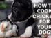 How To Cook Chicken For Your Dog
