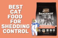 Best Cat Food For Shedding Control