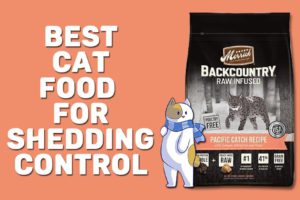 Best Cat Food For Shedding Control